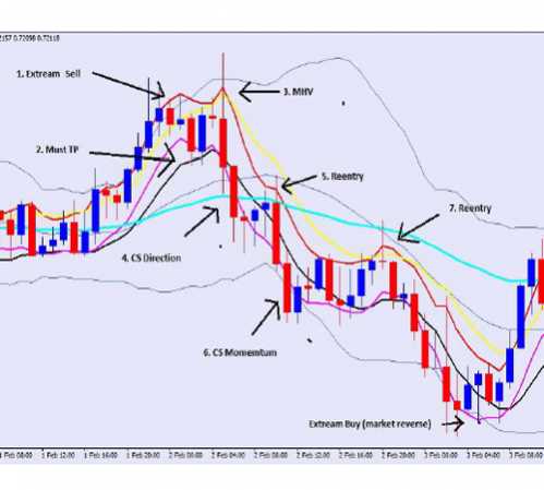 7 winning strategies for trading forex download