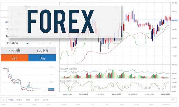 Algo forex trading