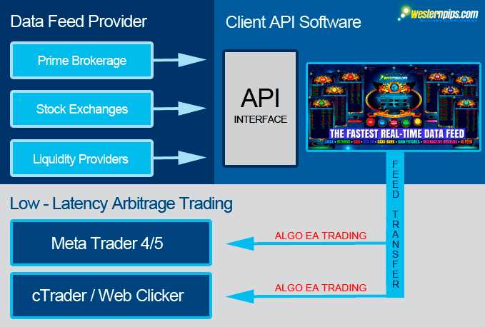 Api forex trading