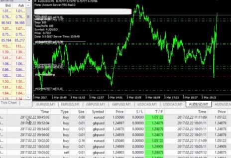 Os diferentes tipos de especialistas em negociação forex