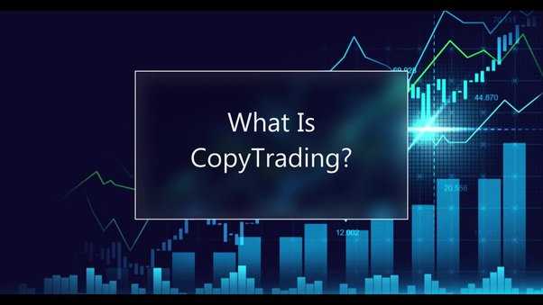 Best forex copy trading