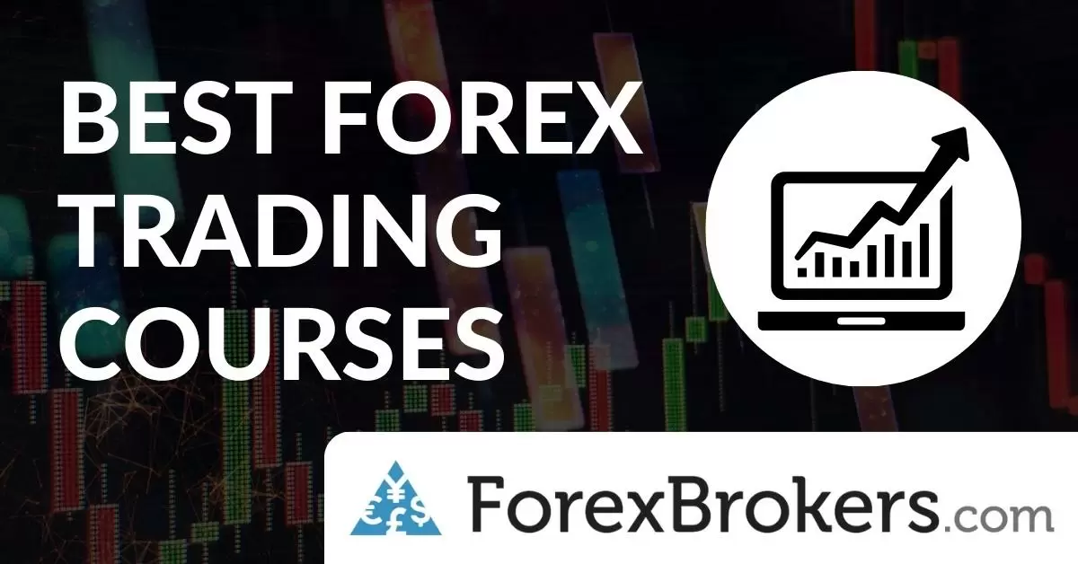 Avalie suas necessidades: O primeiro passo para encontrar o programa ideal de forex