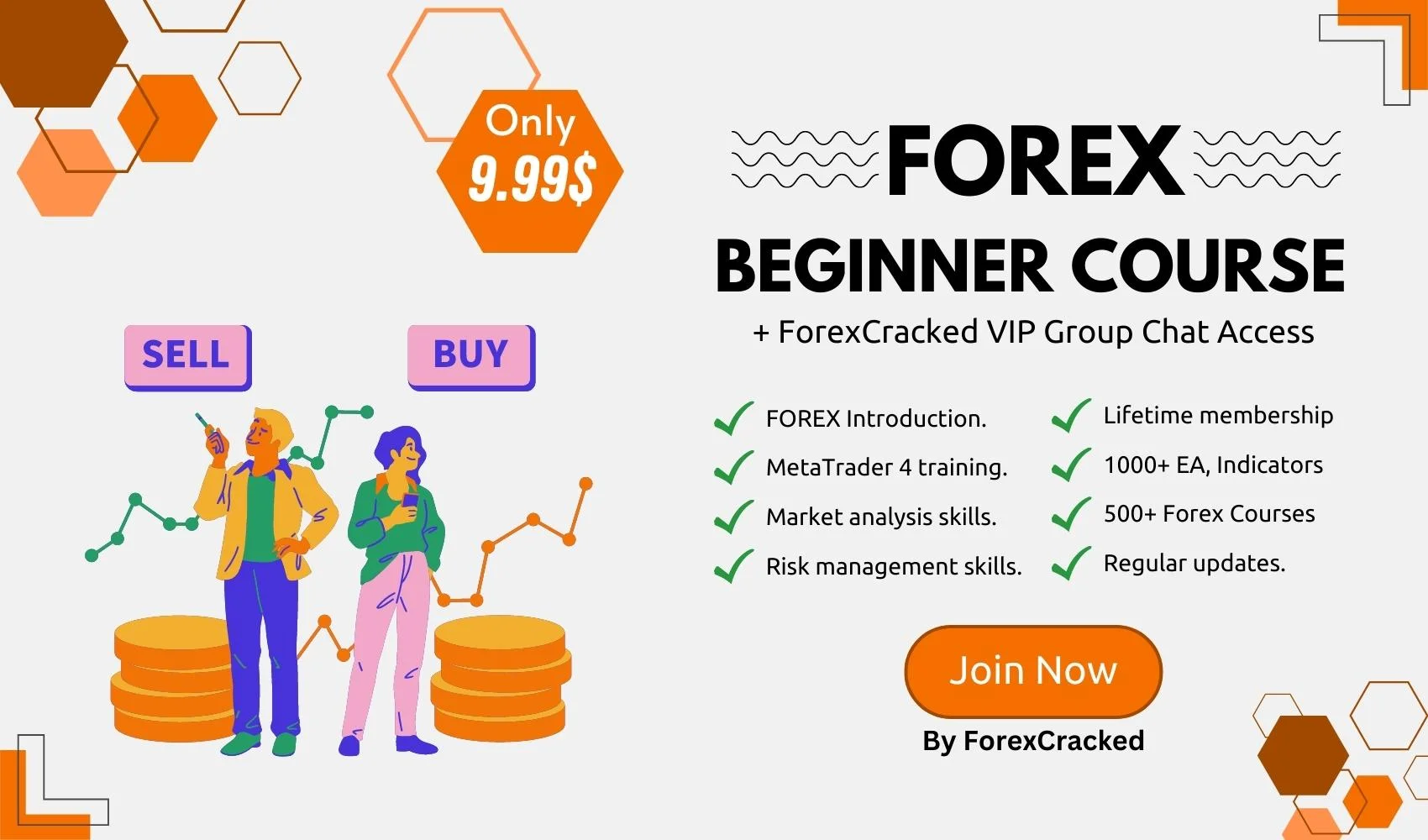 Complete forex trading video course