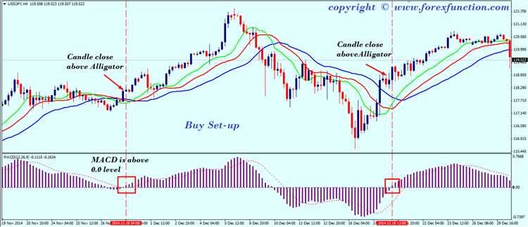 Como avaliar a eficácia das estratégias de negociação de Forex com MACD