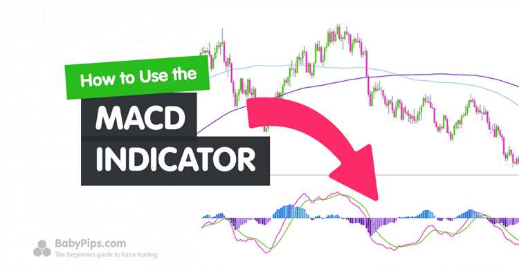 Forex macd trading