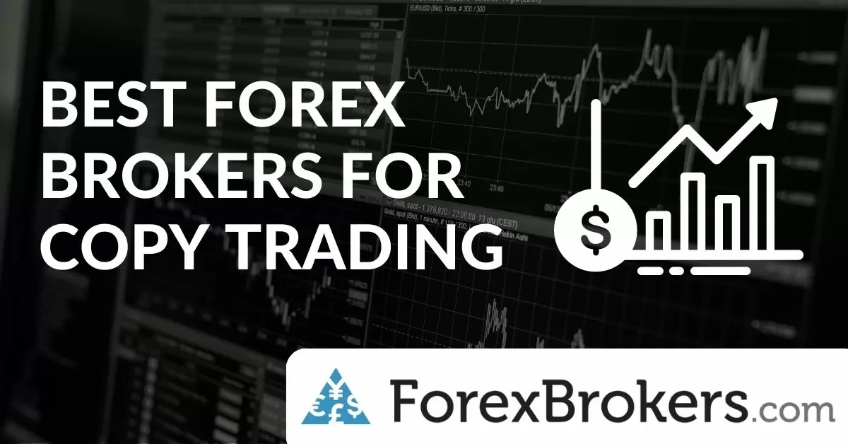 Forex social trading