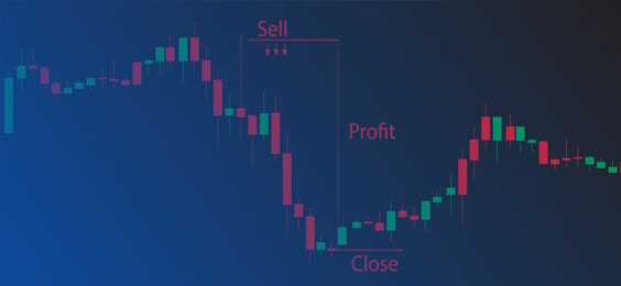 Os princípios básicos do trading de Forex que você aprenderá na academia