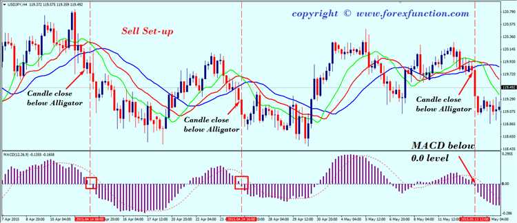 Forex trading alligator strategies