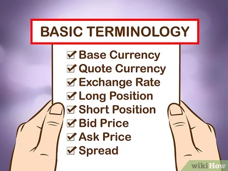 Forex trading basics