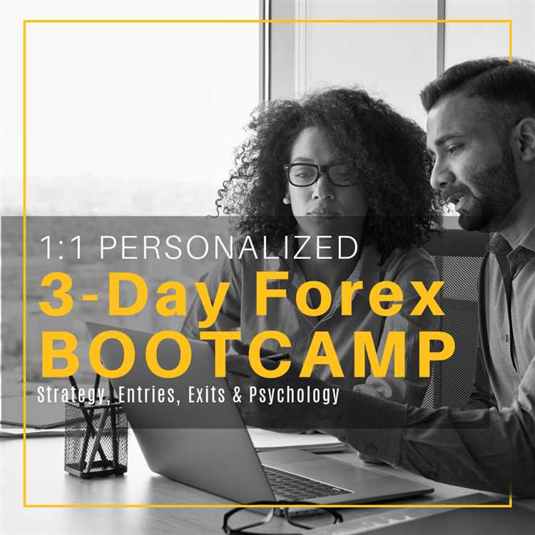 Forex trading bootcamp