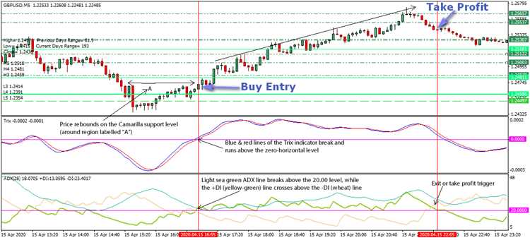 Como começar com o Forex Trading Camarilla