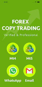 Forex trading copy and paste