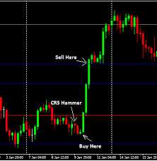 Aprenda os fundamentos do mercado Forex