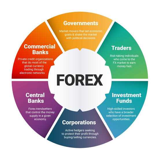 Como interpretar os dados de negociação do Mercado Cambial