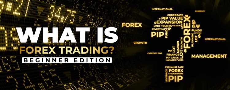 Forex trading free tips