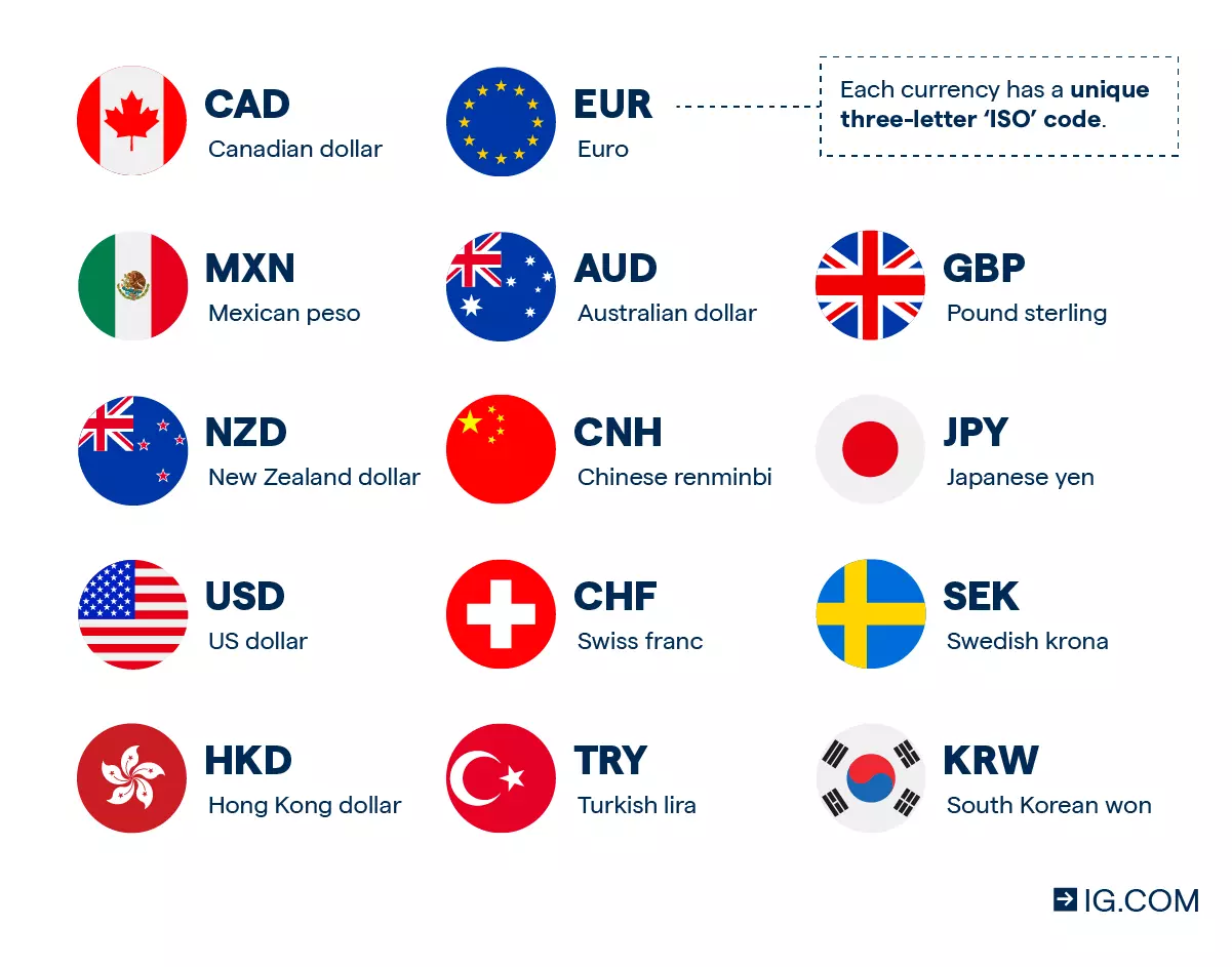 Forex trading investment company