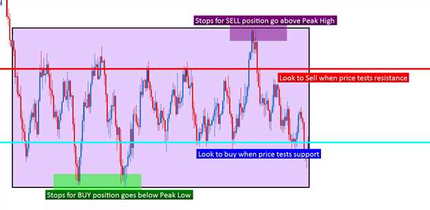 Forex trading life cycle