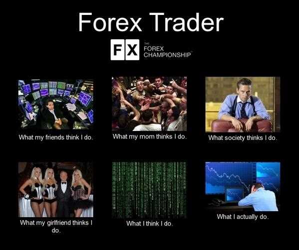 Forex trading meme