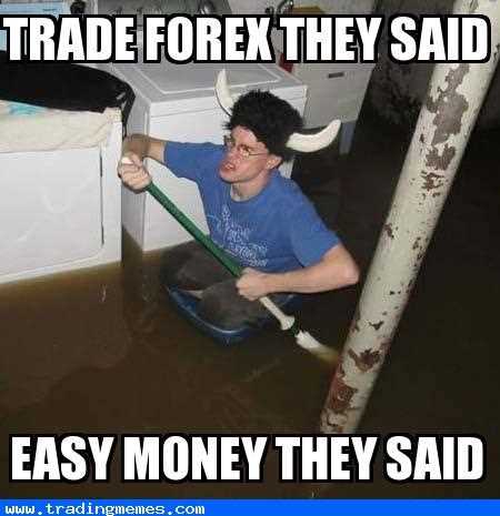 Forex trading memes