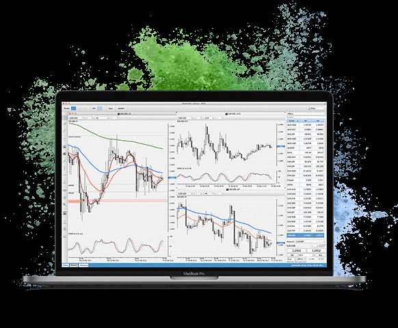 Forex trading platform for beginners