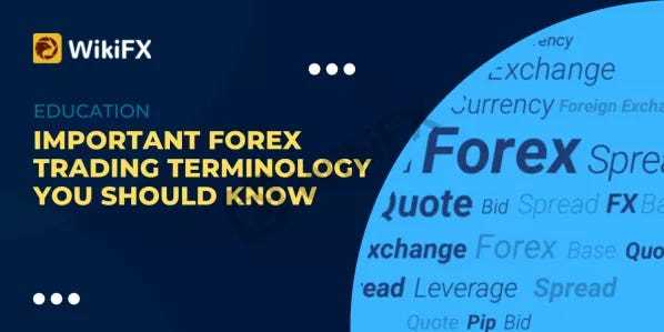 Forex trading vocabulary