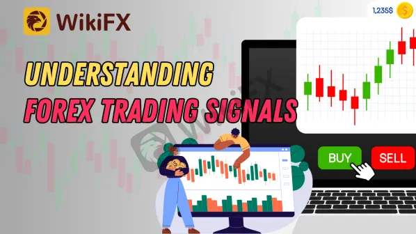 Forex trading wiki