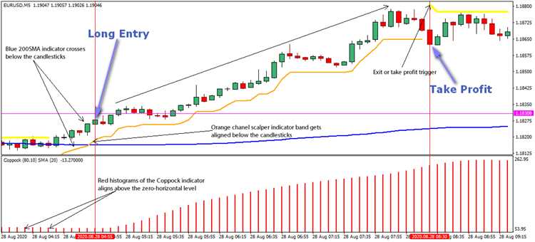 A importância da educação financeira para o Forex Trading com 200 dólares