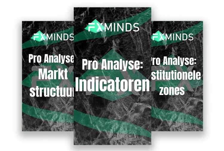 Duração e modalidades de aprendizagem oferecidas pelo programa educacional da Fxminds