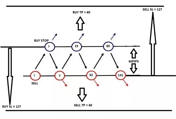 Hedging in forex trading