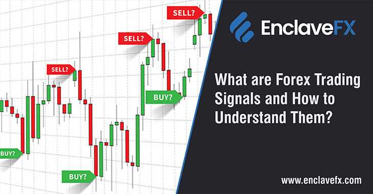 How to understand forex trading signals