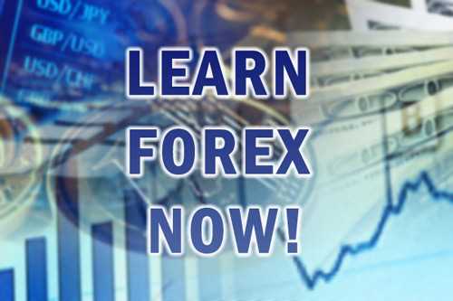 Dicas para escolher a corretora forex ideal