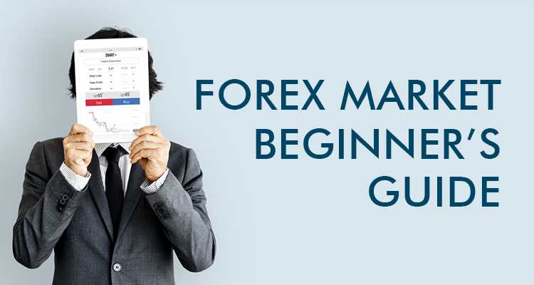 Trading forex beginners guide