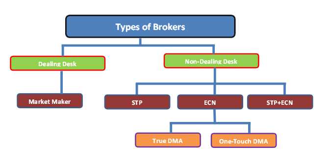 Types of forex trading accounts