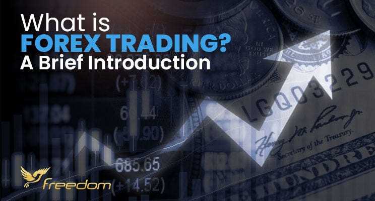 Como começar a operar no mercado forex?