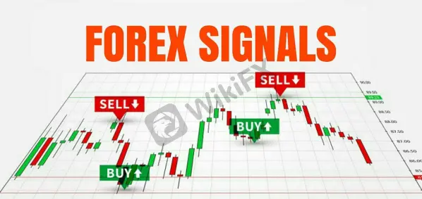 What is forex signal trading